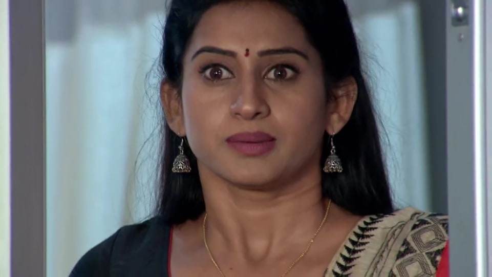 Meenakumari Celebrity Style In Suryavamsham Episode 401 2019 From Episode 401 Charmboard Click here and start watching the full episode in seconds. charmboard