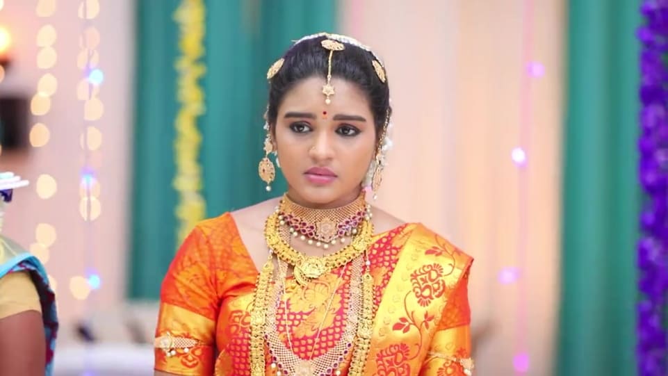 Shabanaa Celebrity Style In Sembaruthi Episode 397 2019 From Episode 397 Charmboard