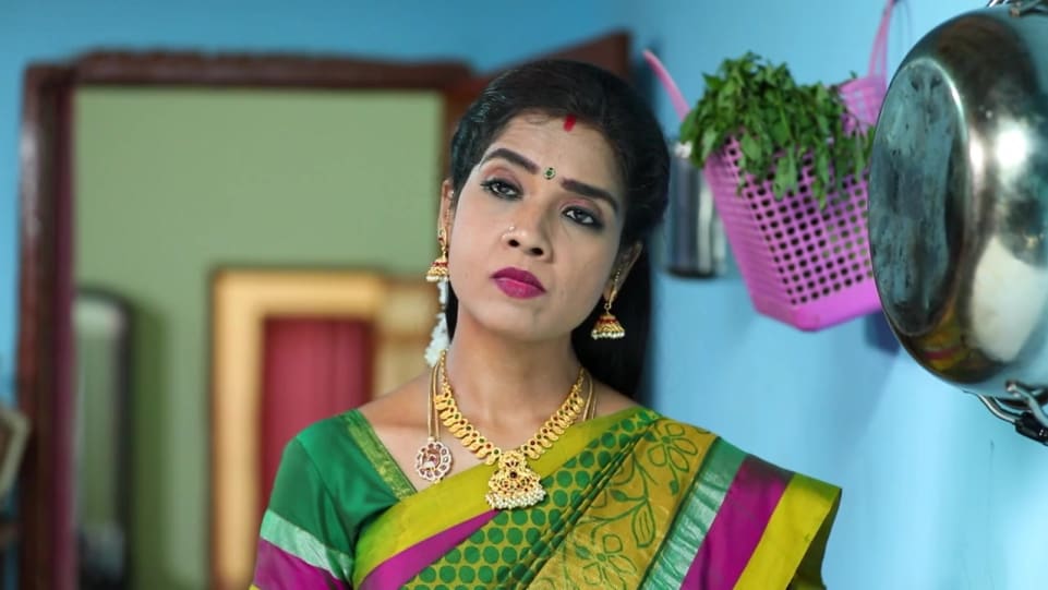 Actors Name Age Wiki Height Birth Place Career Details Sembaruthi Episode 336 2018 Charmboard Directed by sarjun km & music by sundaramurthy ks.lakshmicast : charmboard