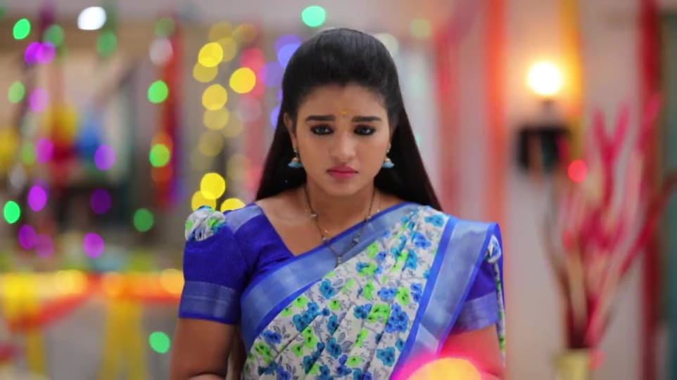 Shabanaa Jewellery Accessories From Sembaruthi Episode 547 2019 Celebrity Jewellery Charmboard The following kshow knowing brother episode 260 english sub has been released now. charmboard