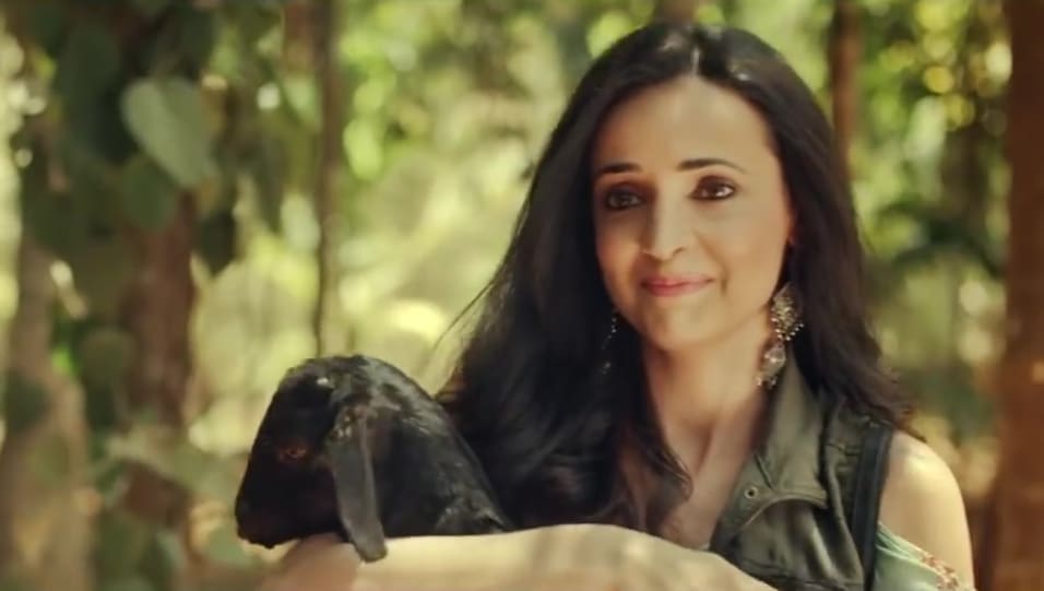 Sanaya Irani Celebrity Style In Main Jaandiyaan Main Jaandiyaan 2018 From Main Jaandiyaan Charmboard She appeared in a number of you are currently on celebrity sanaya irani profile homepage (a mini website). vest