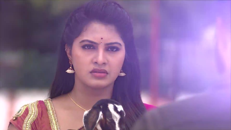 Actors Name Age Wiki Height Birth Place Career Details Nachiyarpuram Episode 57 2019 Charmboard Rachitha mahalakshmi personal life and career. charmboard