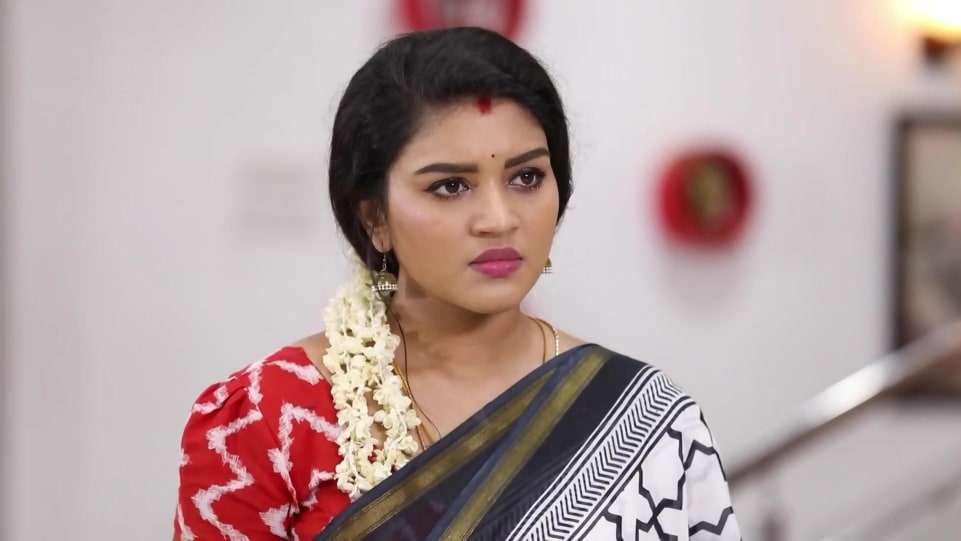 Actors Name Age Wiki Height Birth Place Career Details Sembaruthi Episode 752 Charmboard