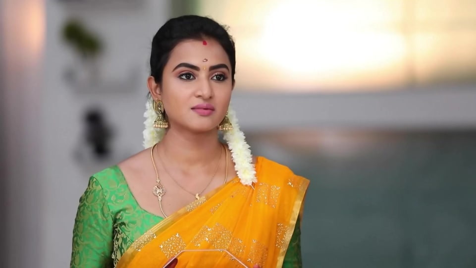 Actors Name Age Wiki Height Birth Place Career Details Sembaruthi Episode 815 2020 Charmboard Janani ashok kumar handbag secrets revealed by vj ashiq | what's inside the handbag stay tuned to galatta tamil for latest. charmboard