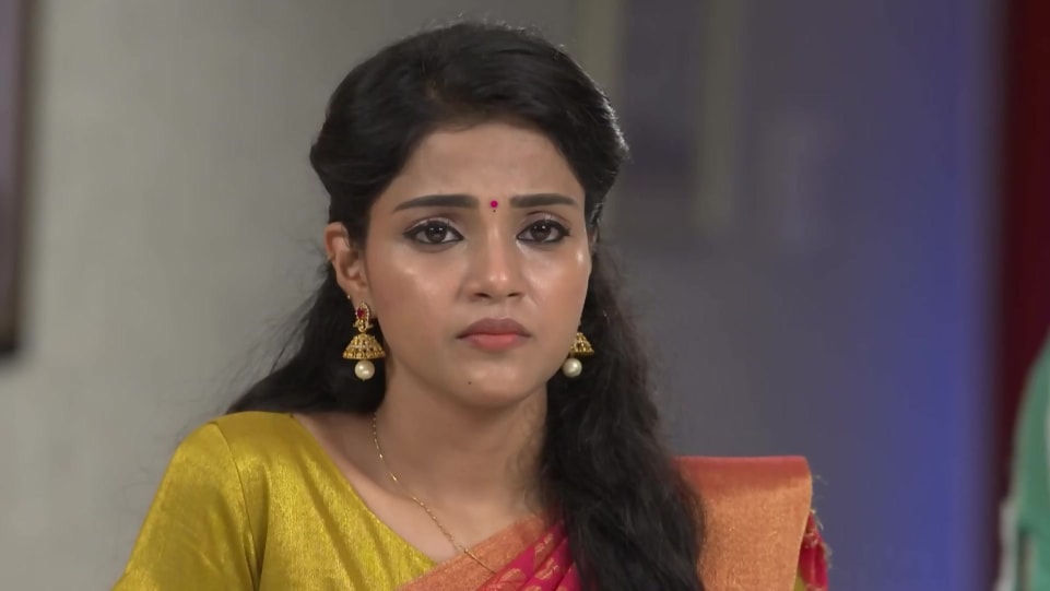 Vaishali Thaniga In Maroon Saree Outfit Celebrity Clothing Charmboard Vaishali, vaishali tanika date of birth/age : saree