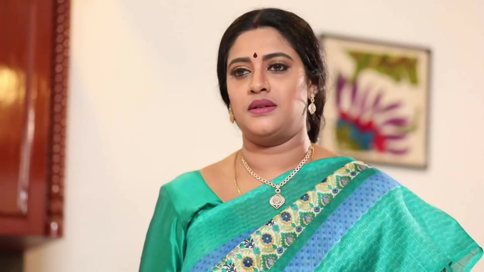 Meera Krishna Celebrity Style In Rettai Roja Episode 282 2020 From Episode 282 Charmboard The story starts with a two beautiful roses anuradha and abirami. charmboard