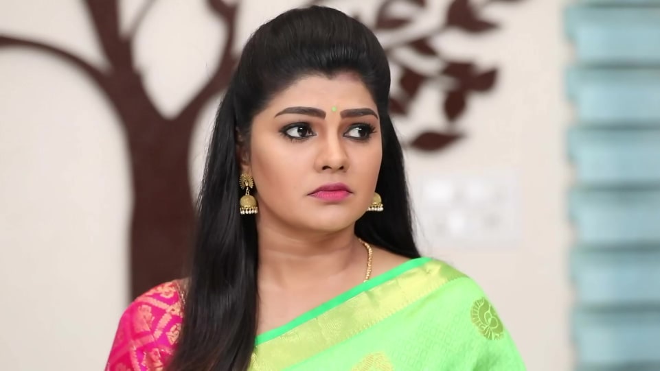 Actors Name Age Wiki Height Birth Place Career Details Poovey Poochoodava Episode 969 2021 Charmboard Shamili, also known as baby shamili, born on 10 july 1987, is an indian actress who has worked in malayalam, tamil, kannada and telugu films. charmboard