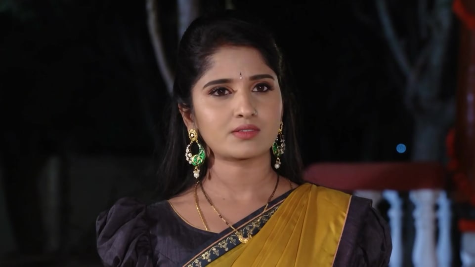 Meghana Lokesh Celebrity Style In Raktha Sambandham Episode 759 21 From Episode 759 Charmboard