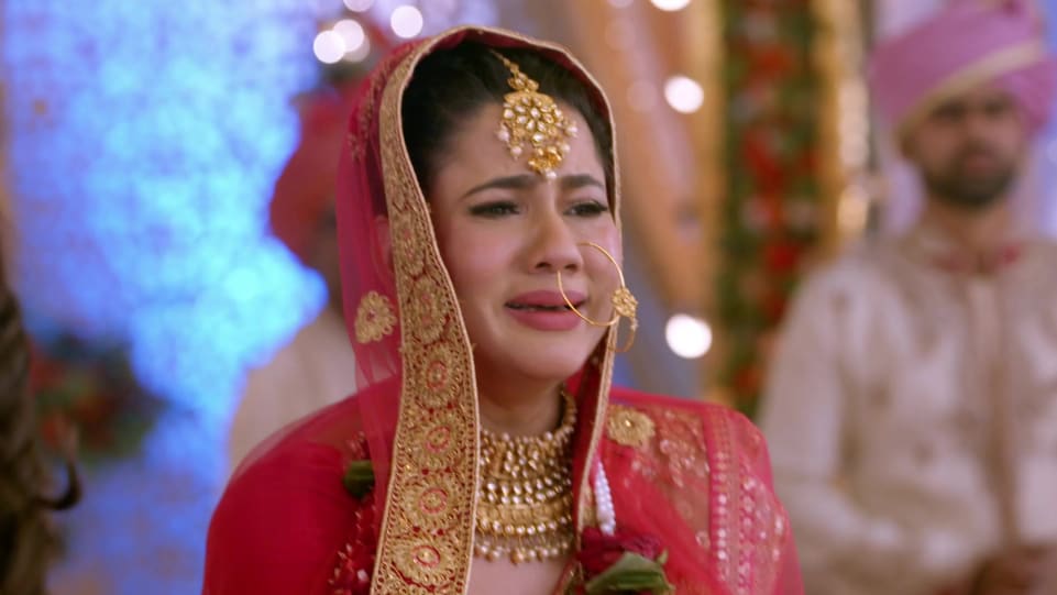 Uz0olqnxmsncfm Live kundali bhagya 9 november 2020 episode 822 zee tv show full episodes online. 2
