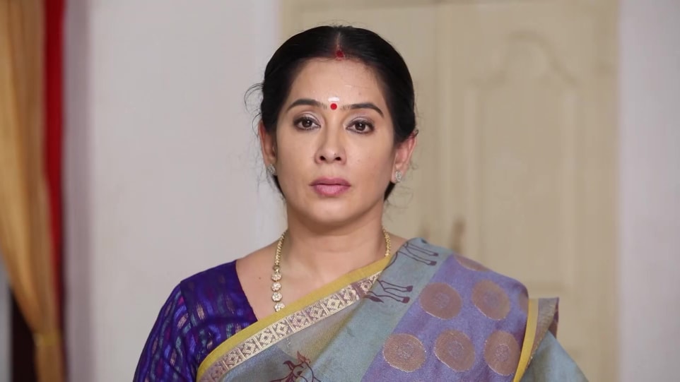 Lakshmi Vasudevan Celebrity Style In Oru Orla Oru Rajakumari Episode 401 2019 From Episode 401 Charmboard Radhakrishn stars sumedh mudgalkar as lord krishna, mallika singh as radha and basant bhatt as balram. saree