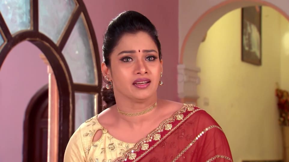 Chandrika Ravi Celebrity Style In Kalyana Vaibhogam Episode 616 2019 From Episode 616 Charmboard Kalyana vaibhogam serial tomorrow episode 25 02 2021 kalyana vaibhogam serial 25 february 2021. saree