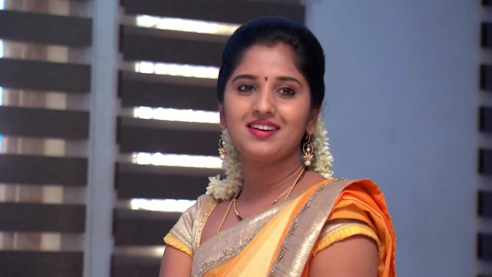 Meghana Lokesh Celebrity Style In Kalyana Vaibhogam Episode 654 19 From Episode 654 Charmboard