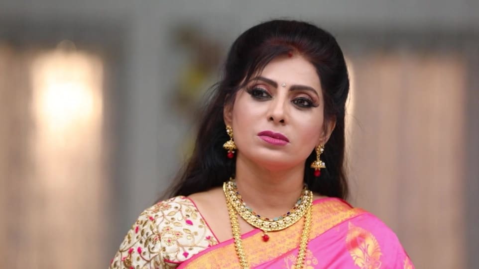 Priya Raman Celebrity Style In Sembaruthi Episode 686 2020 From Episode 686 Charmboard Priya raman had one sibling. 2020 from episode 686