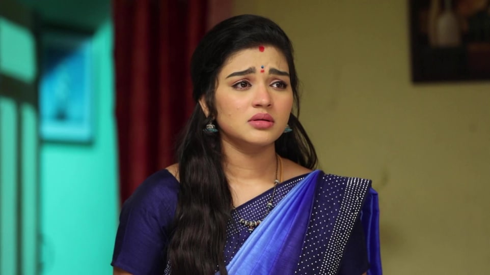 Actors Name Age Wiki Height Birth Place Career Details Sembaruthi Episode 729 2020 Charmboard Watch sembaruthi serial today's episode sembaruthi aka chembaruthi is a 2017 tamil romance family soap opera directed by ram kumaradhas and sulaiman. sembaruthi episode 729 2020 charmboard