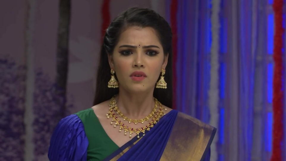 Vinitha Jaganathan Celebrity Style In Gokulathil Seethai Episode 234 2020 From Episode 234 Charmboard Keep checking rotten tomatoes for updates! charmboard