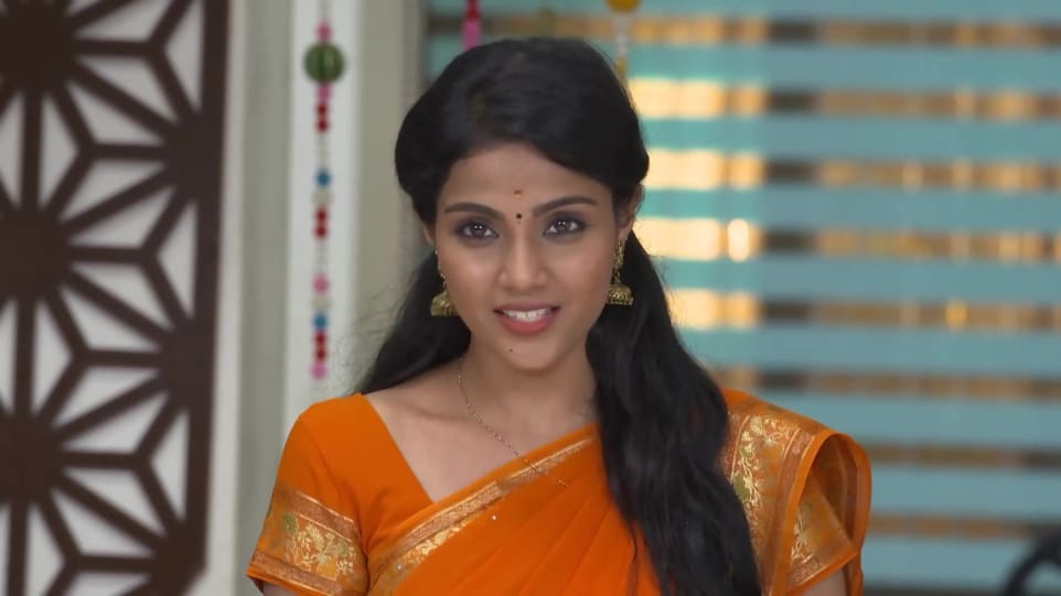 Vaishali Thaniga Jewellery Accessories From Gokulathil Seethai Episode 292 2021 Celebrity Jewellery Charmboard Gokulathil seethai serial dec 1 promo review. charmboard