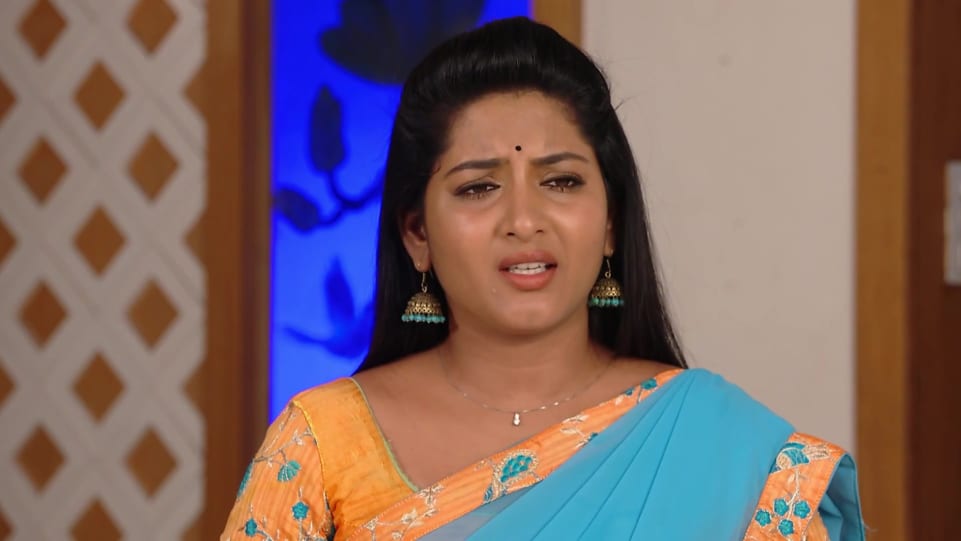 Get Manasa Puffy Straight Hair Hairstyle In Maate Mantramu