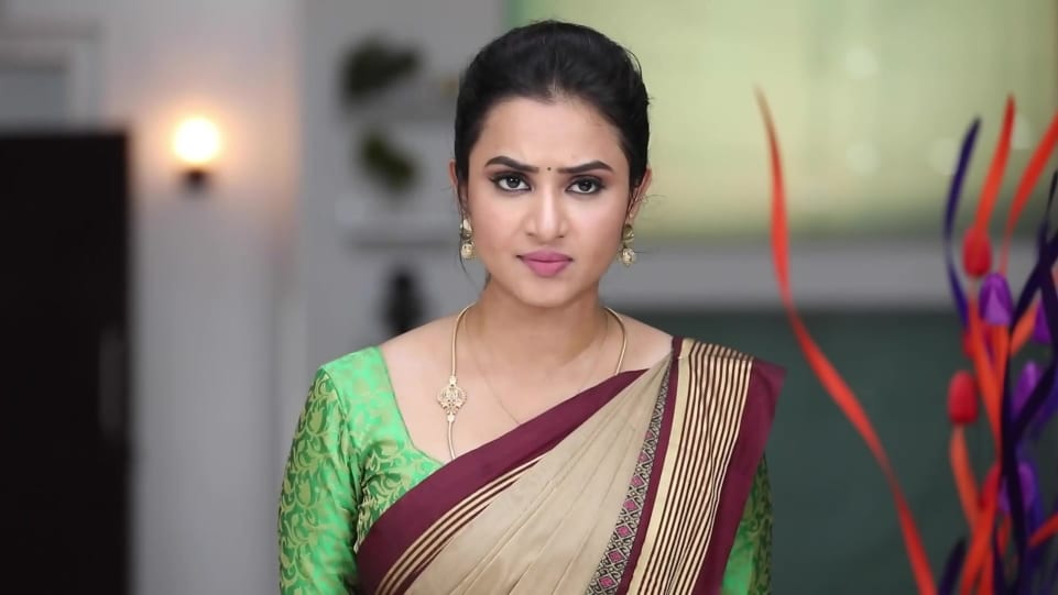 Janani Ashok Kumar Celebrity Style In Sembaruthi Episode 794 From Episode 794 Charmboard