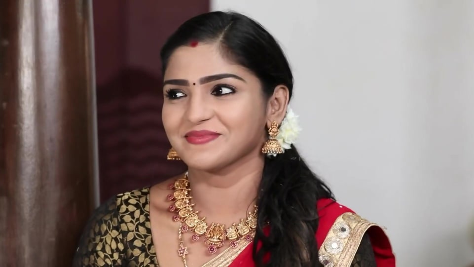 Saira Banu Celebrity Style In Oru Oorula Oru Rajakumari Episode 677 2020 From Episode 677 Charmboard