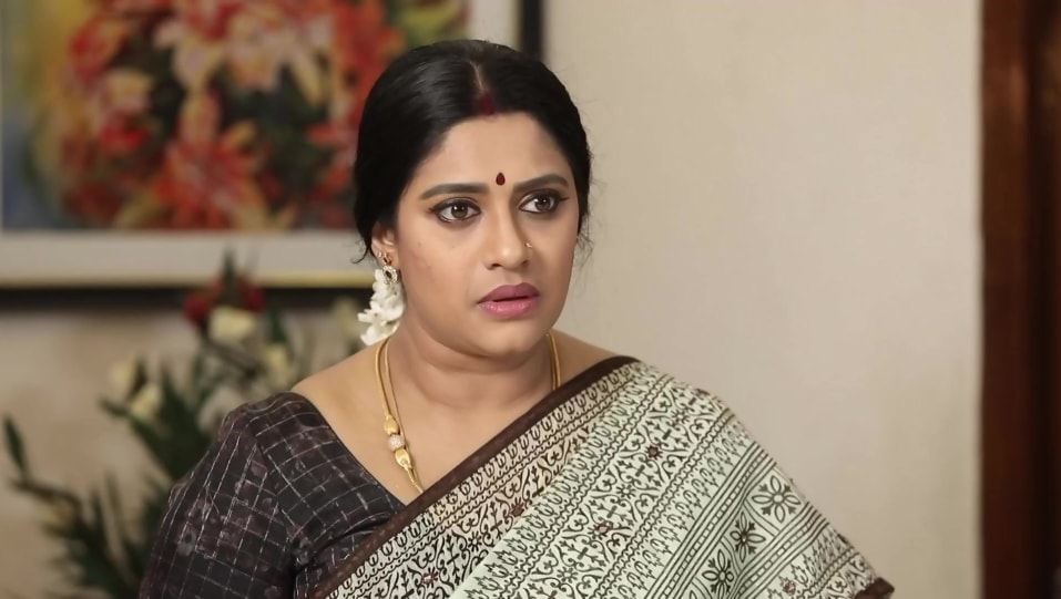 Meera Krishna Celebrity Style In Rettai Roja Episode 299 2021 From Episode 299 Charmboard The day today episodes episode guide. charmboard