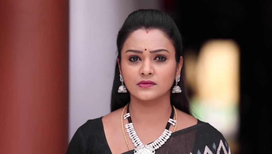 Swathi Royal Celebrity Style In Oru Oorula Oru Rajakumari Episode 812 21 From Episode 812 Charmboard