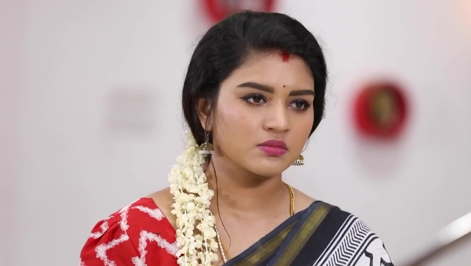 Shabana Celebrity Style In Sembaruthi Episode 753 From Episode 753 Charmboard