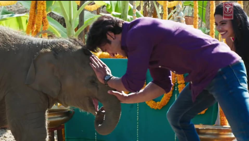 Actors Name Age Wiki Height Birth Place Career Details Fakeera Ghar Aaja Junglee 2019 Charmboard A jungle is a lush, temperate biome full of dense vegetation. charmboard